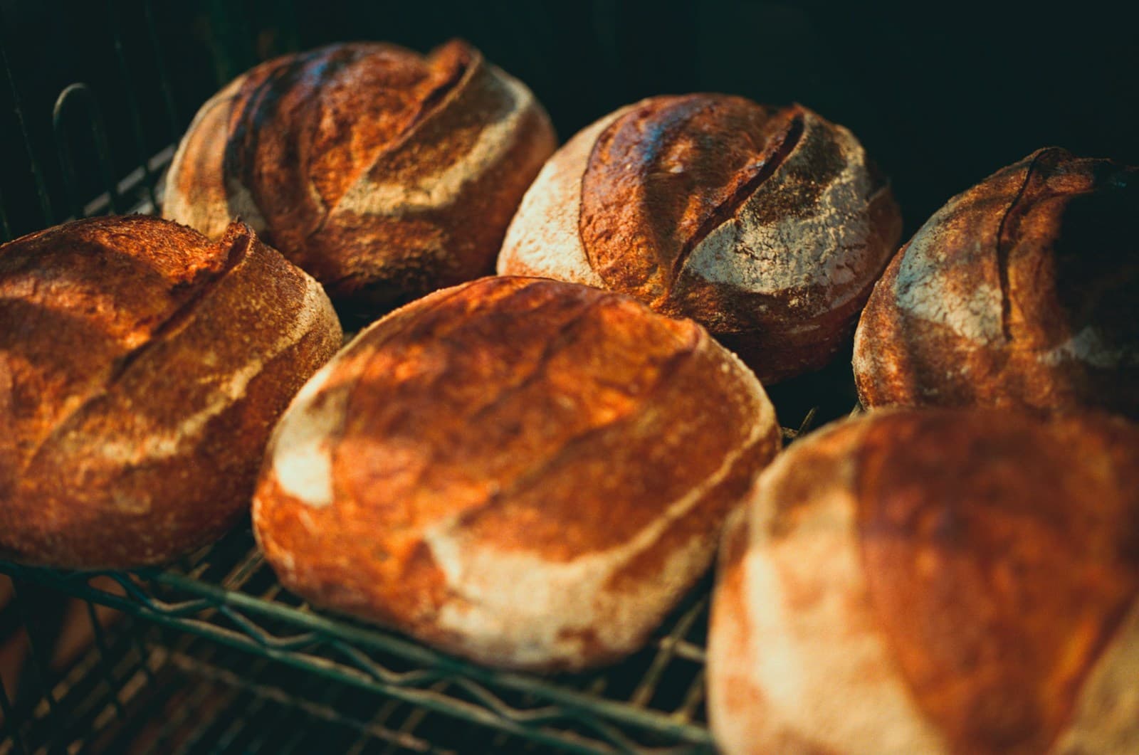 Freshly baked artisan bread on a bakery rack